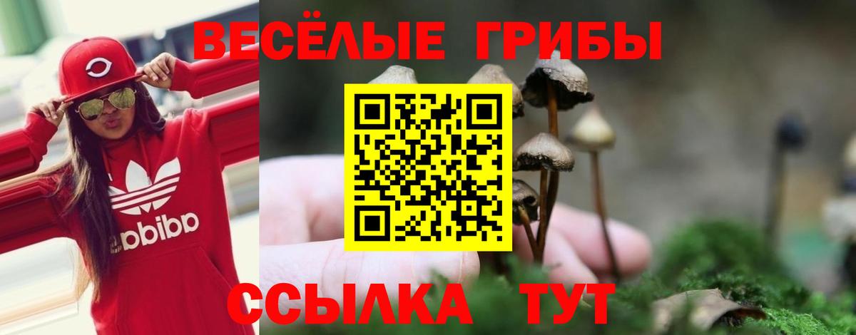 Псилоцибиновые грибы прущие грибы  Галлюциногенные грибы ЛСД  Асбест  Вход с VPN 